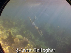 My friend diving over a reef in St. Lucia. A still lifted... by Anne Gallagher 